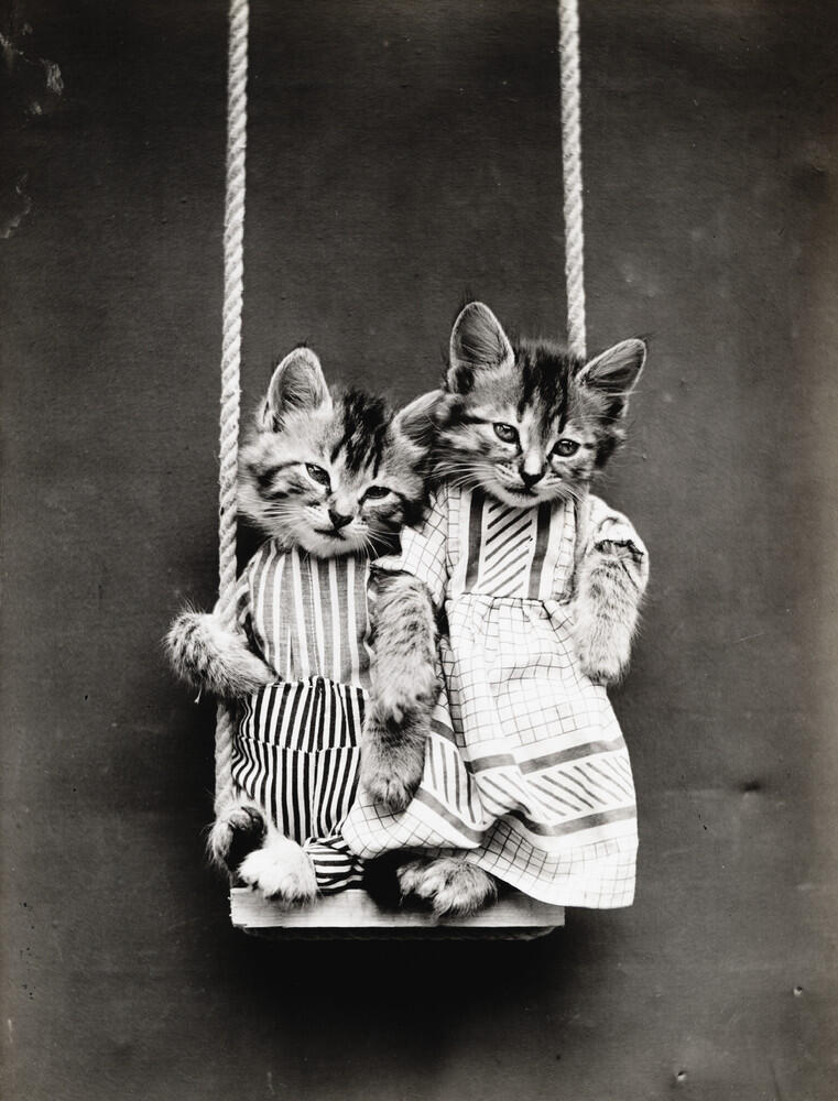 Foto-Foto Kucing dan Anjing yg menggemaskan, Dari Satu Abad yang lalu !