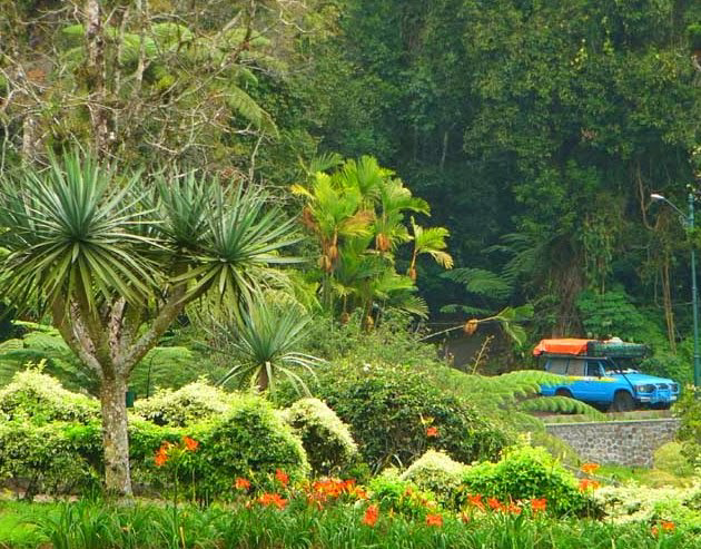 5 Tempat Wisata di Bogor dan Sekitarnya yang Paling Menarik dan Murah Meraih