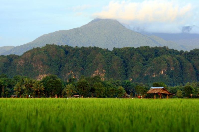 Berbagai Taman Nasional Terbaik di Indonesia!!! &quot;surga dunia yang siap di jelajahi&quot;