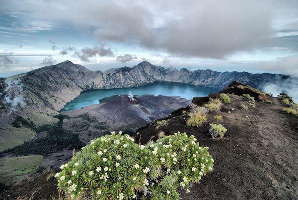 Berbagai Taman Nasional Terbaik di Indonesia!!! &quot;surga dunia yang siap di jelajahi&quot;