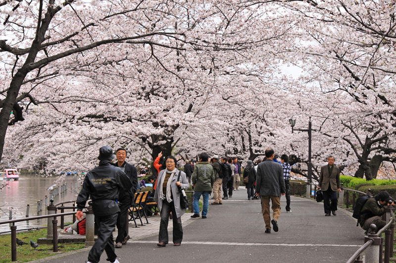 10 Tempat Wisata Unik dan Indah di Jepang