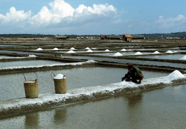 Intip Proses Pembuatan Garam Secara Tradisional