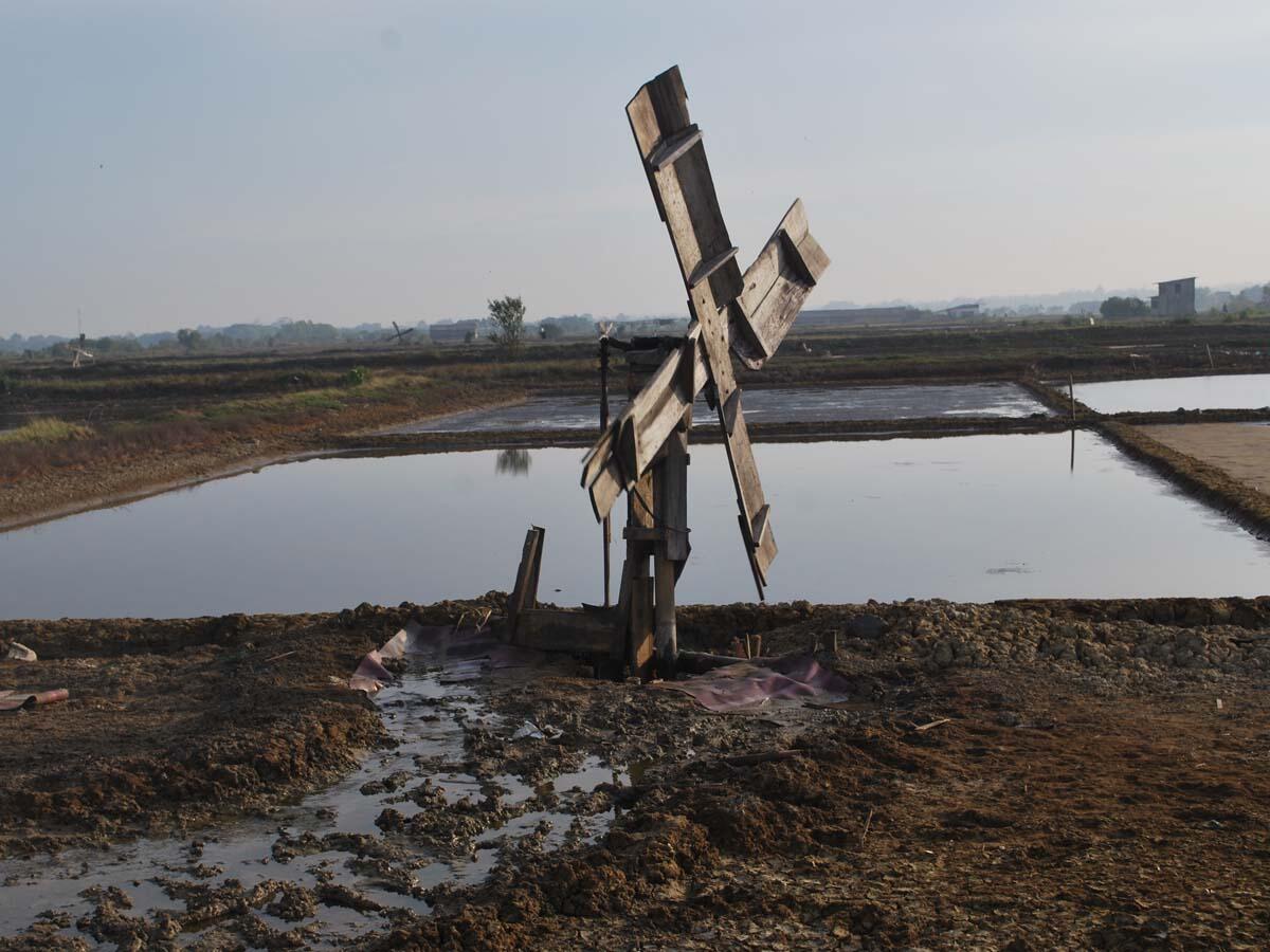 Intip Proses Pembuatan Garam Secara Tradisional