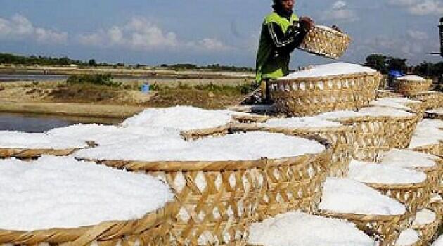 Intip Proses Pembuatan Garam Secara Tradisional