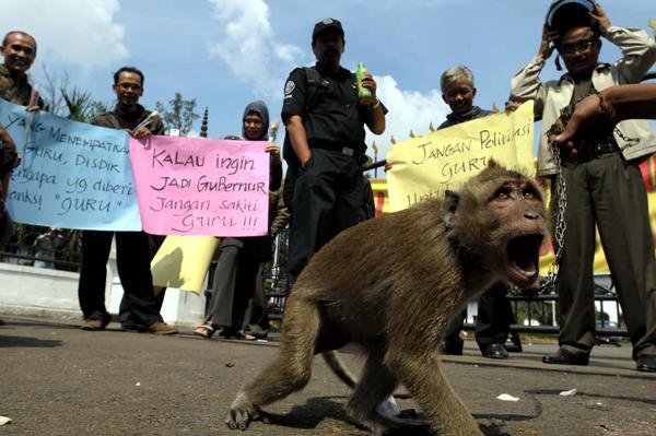 Jagalah bumi ini dari pengrusakan-pengrusakan alam
