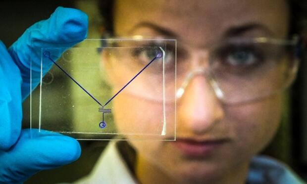 &#91;WoooW&#93; Keren Banget - 15 Pemenang National Science Photography Competition 2014
