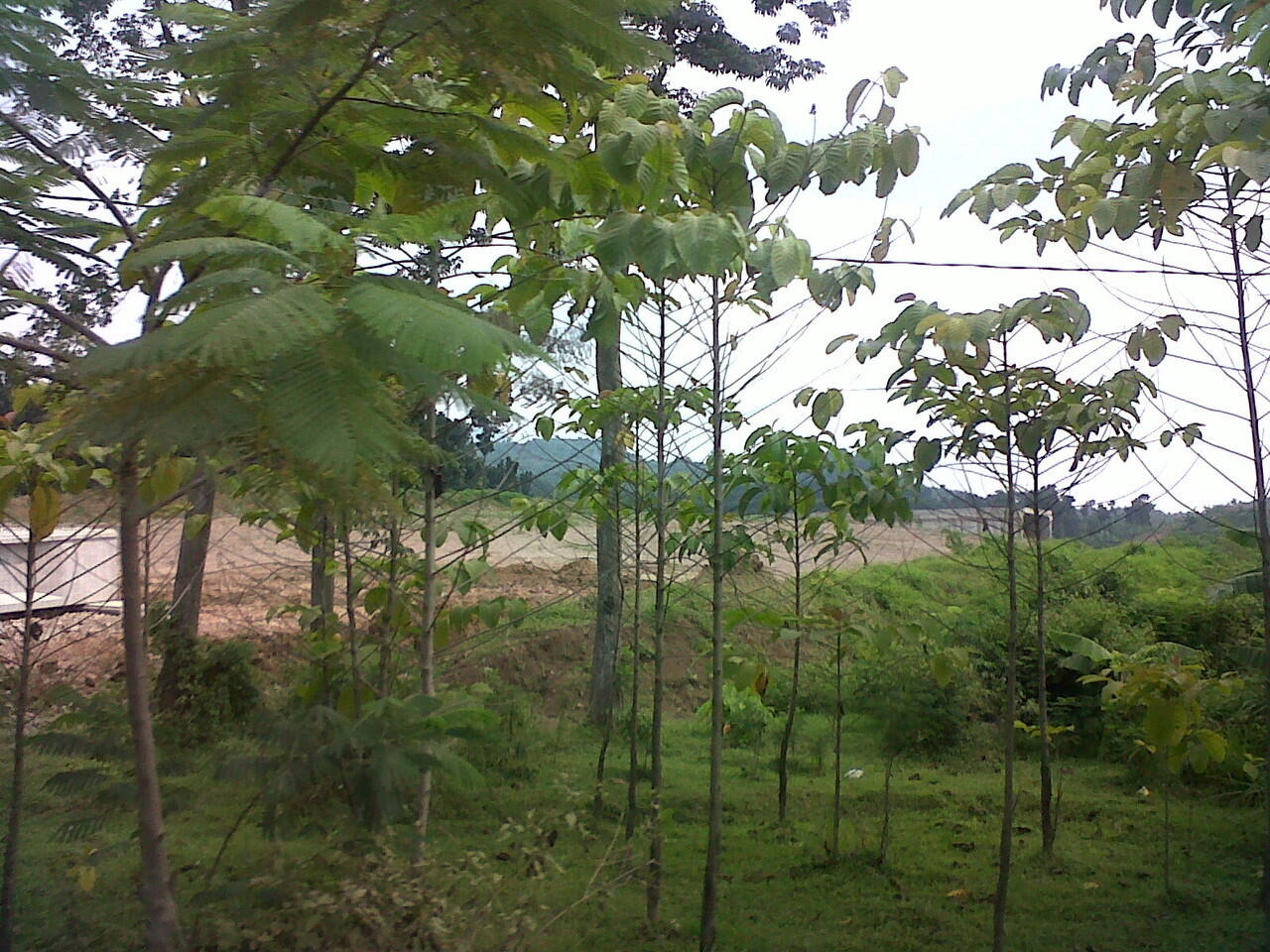 Bandung Cirebon Cukup 2,5 Jam sajah