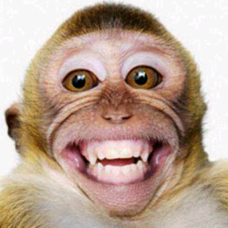 Nih gan. Selfie yg anti mainstream