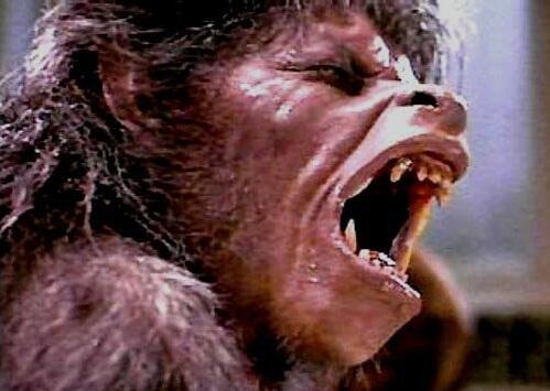 Legenda Werewolf Dari Masa ke Masa