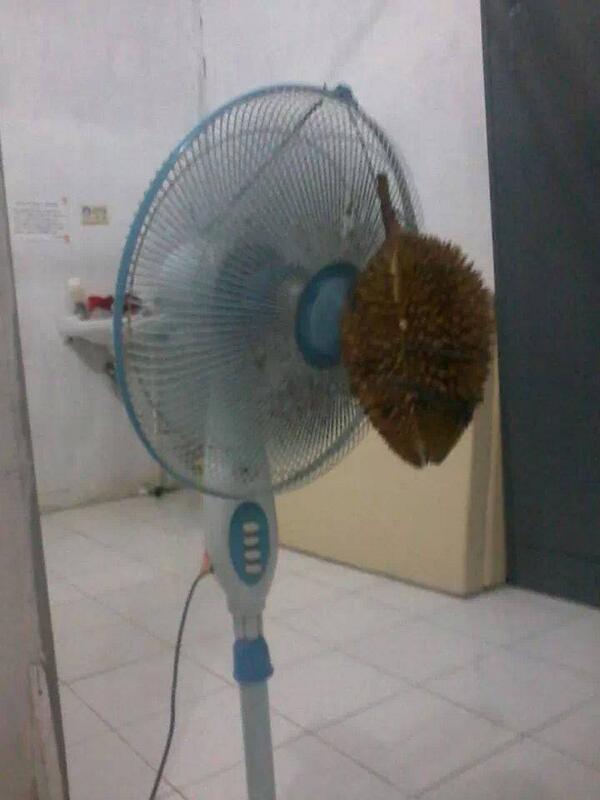 pewangi alami gan :D