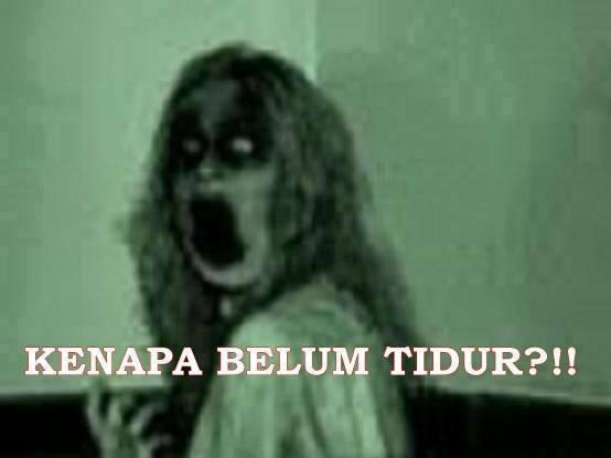 5 Hewan Ini Katanya Bisa Melihat Hantu