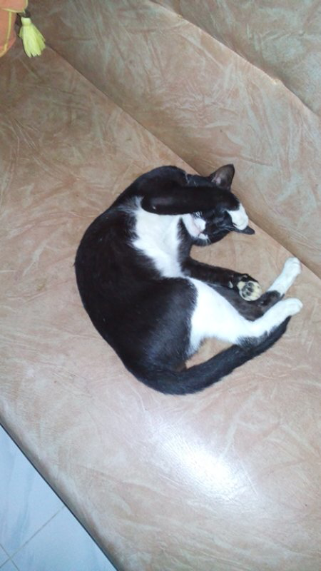 IGO (17+++) si cantik lagi tidur