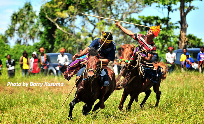 Pasola, Aksi Pelempar Lembing dan Penunggang Kuda dari Sumba.