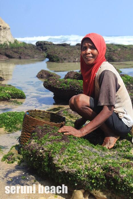 Pantai Seruni dan Pemanen Rumput Laut