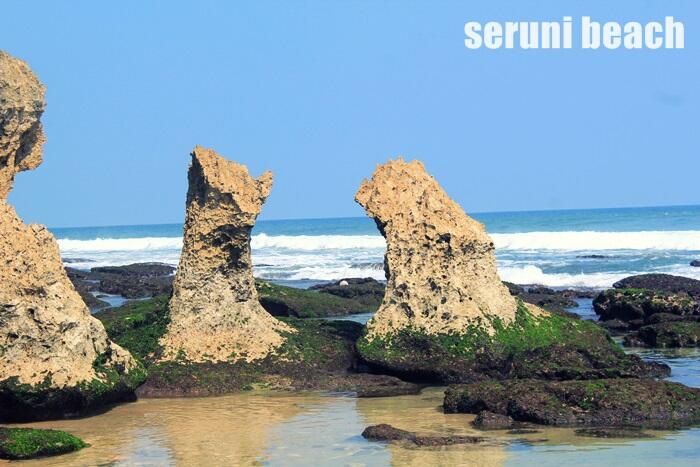 Pantai Seruni dan Pemanen Rumput Laut