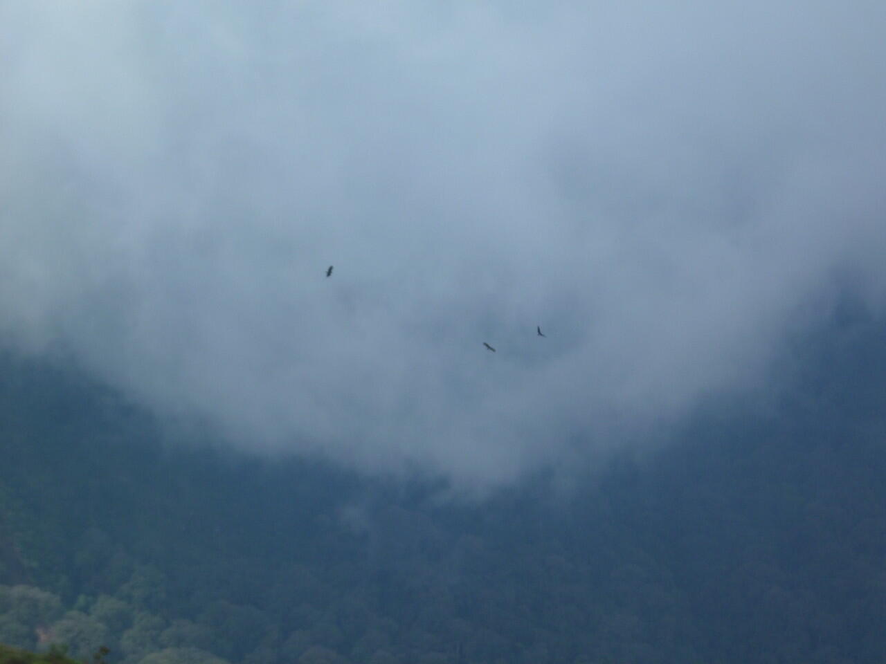 &#91;catper&#93; Menapaki &quot;Semeru&quot;nya Garut &#91;GUNTUR&#93; 29-31/3/14