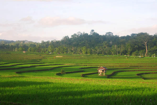 Berikan 1 kata gan buat gambar ini