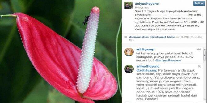 8 Akun Instagram dengan cerita unik,Beminat Follow?