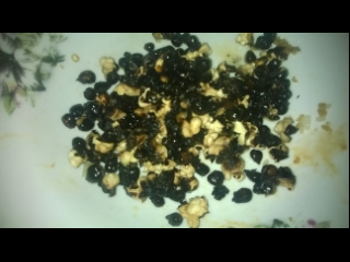 Cara Memasak Popcorn Ala Anak Kost &#91;Modal kaleng bekas minuman&#93;