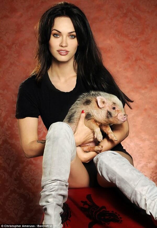 FAKTA FAKTA MEGAN FOX 