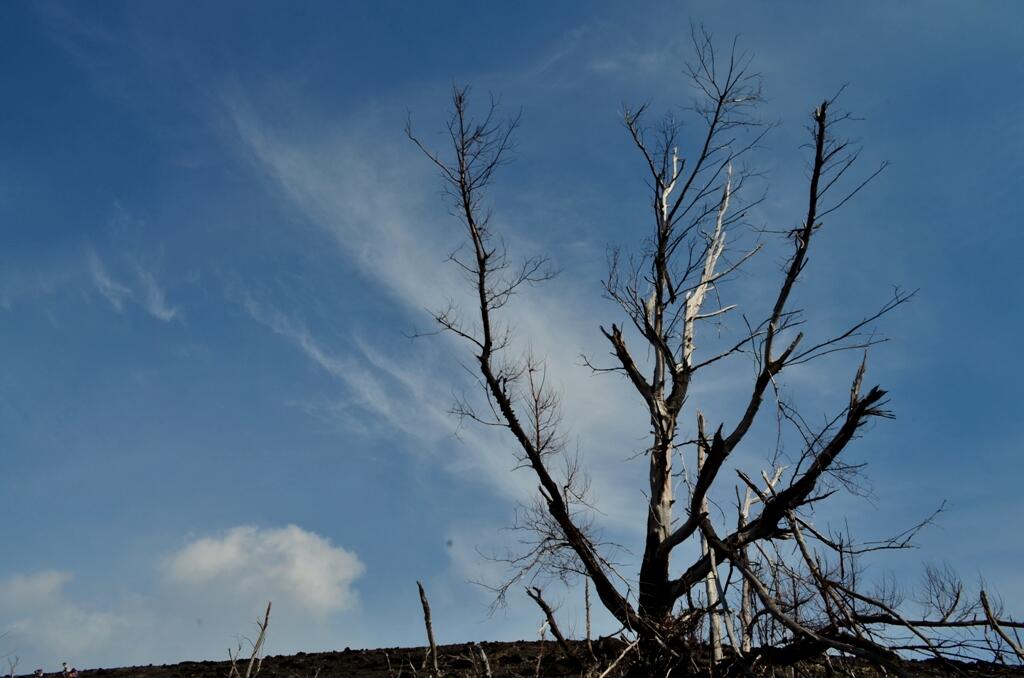 FR KRAKATAU 29-31 maret, bukan krakatau tapi KRAKATAU..