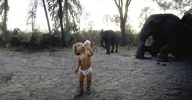 Anak Kecil Ini Hidup di Alam Liar Seperti Tarzan