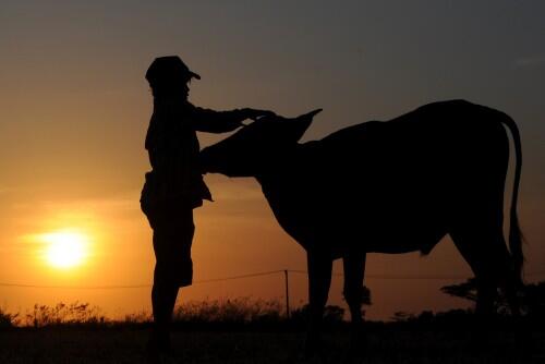senja cantik di Indonesia &#91;pict&#93;