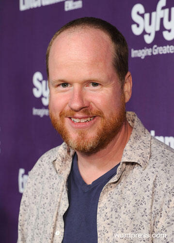 Joss Whedon Kasih Bocoran Tentang karakter Baru di The Avengers 2