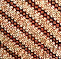 macam-macam batik nusantara