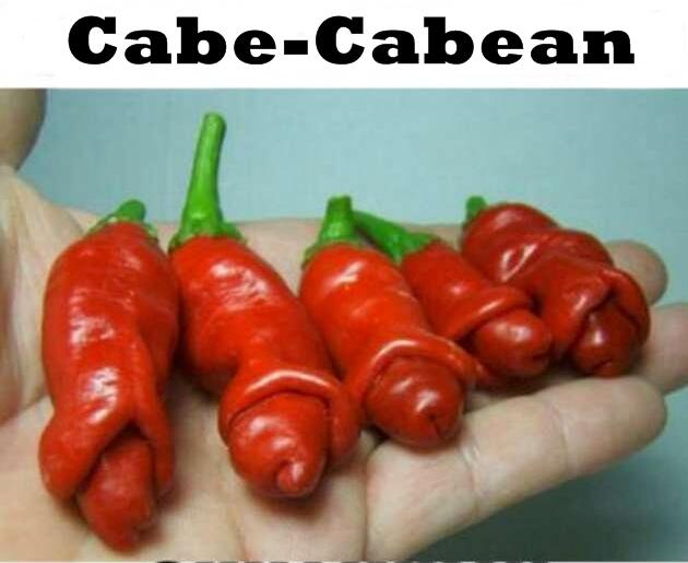Lolos ke DPR, Moreno ingin berantas pembalap liar &amp; cabe-cabean !!!