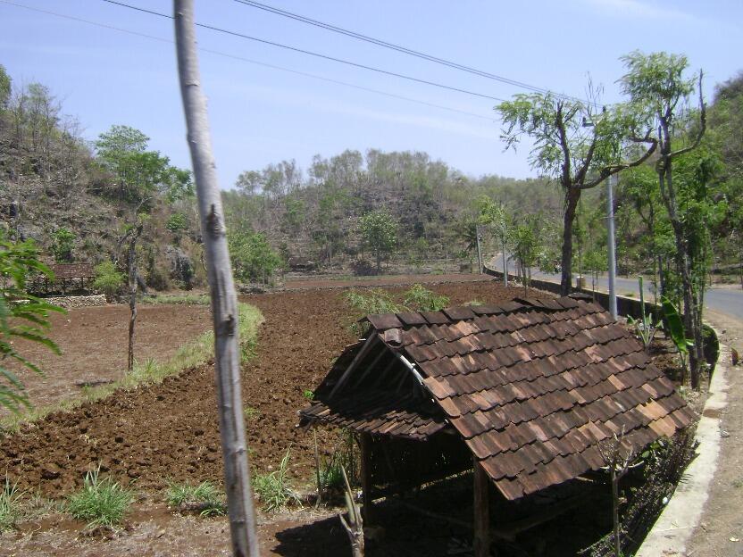&#91;RUSH ADVENTURE&#93; DEMI ORANG TUA