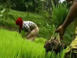 7 Pekerjaan Paling Dicari di Masa Depan