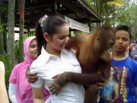 &#91;HEBOH&#93;Binatang ini tertangkap kamera sedang memegang buah dada wanita BB+17