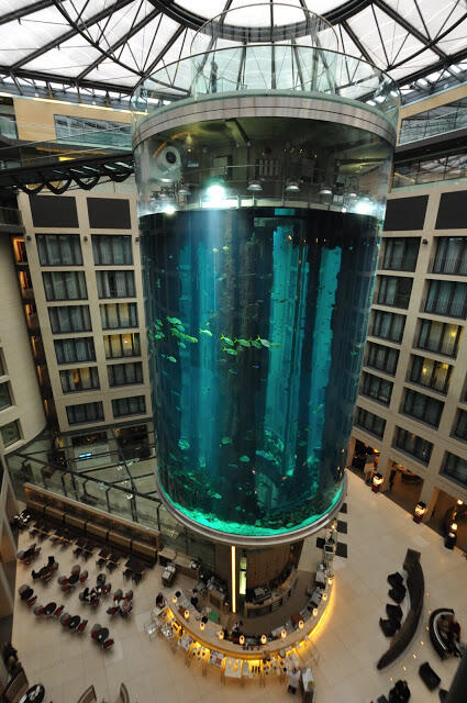 Unik, Hotel Ini Memiliki Lift Di Dalam Aquarium Raksasa