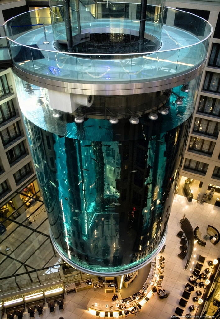 Unik, Hotel Ini Memiliki Lift Di Dalam Aquarium Raksasa