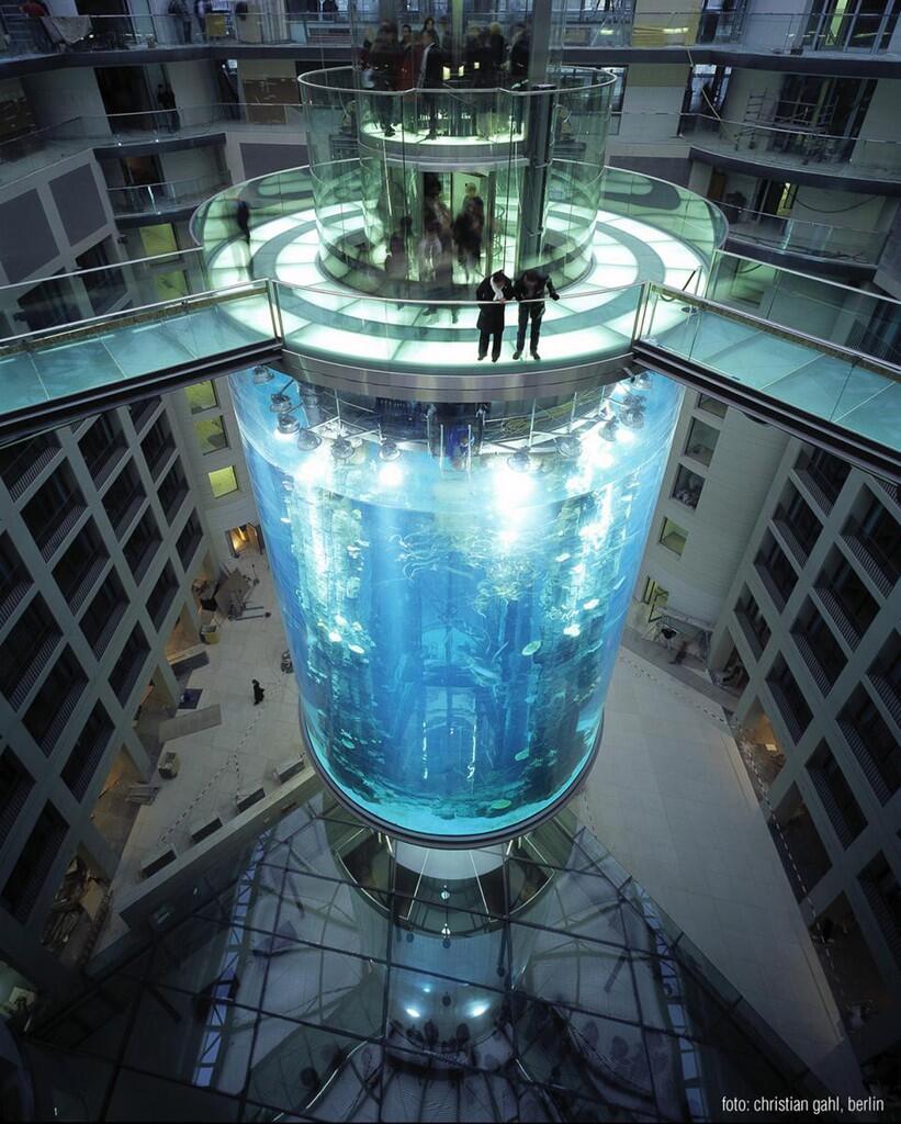 Unik, Hotel Ini Memiliki Lift Di Dalam Aquarium Raksasa
