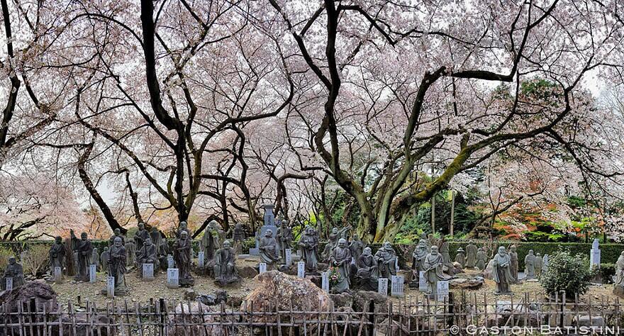 &#91;April 2014&#93;~Yuk intip Indahnya Bunga Sakura Musim Semi ini di Jepang~