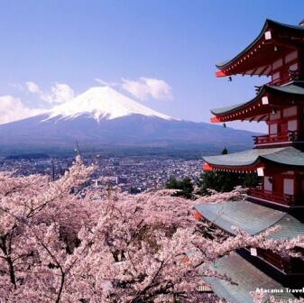 &#91;April 2014&#93;~Yuk intip Indahnya Bunga Sakura Musim Semi ini di Jepang~