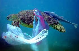 Bahaya buang sampah di laut 