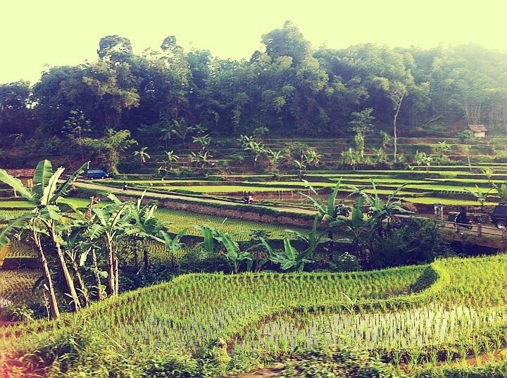 &#91;RUSH ADVENTURE&#93; TARAWIH KELILING : MERANTAU SUMATERA