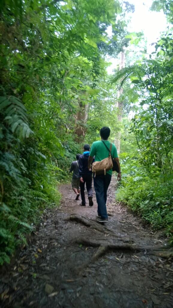 Catatan Perjalanan ke Situ Gunung (Taman Nasional Gunung Gede Pangrango) 