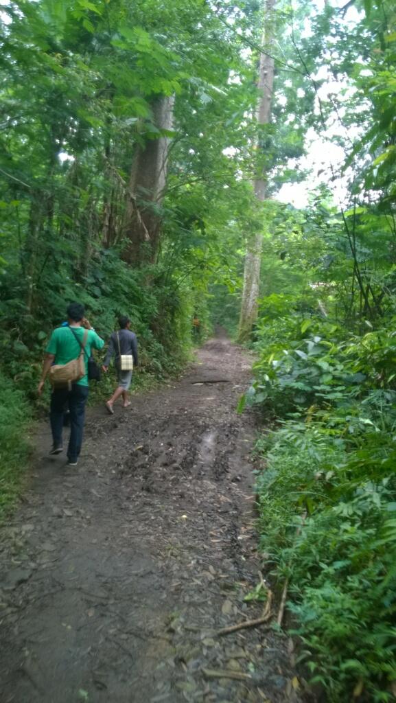 Catatan Perjalanan ke Situ Gunung (Taman Nasional Gunung Gede Pangrango) 