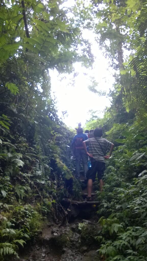 Catatan Perjalanan ke Situ Gunung (Taman Nasional Gunung Gede Pangrango) 