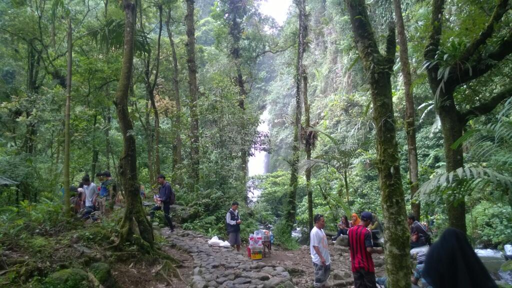 Catatan Perjalanan ke Situ Gunung (Taman Nasional Gunung Gede Pangrango) 