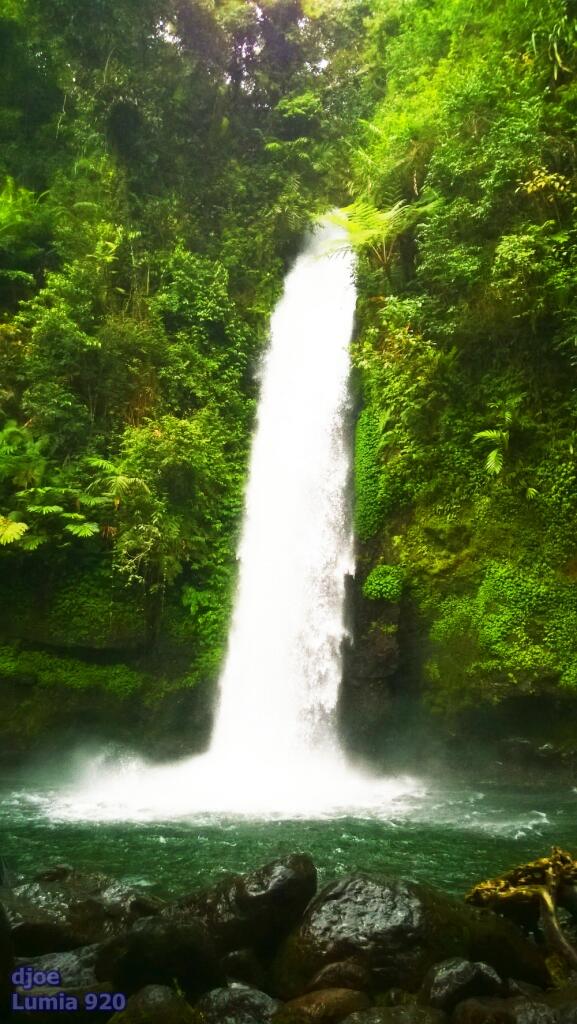 Catatan Perjalanan ke Situ Gunung (Taman Nasional Gunung Gede Pangrango) 