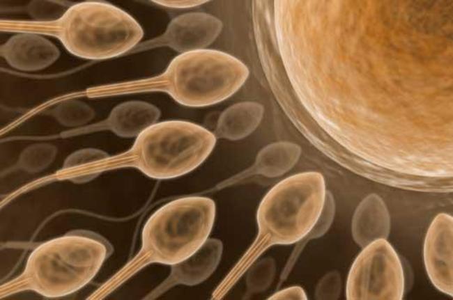 7 Mitos Yang Yakni Di Percayai Oleh Remaja Sekarang