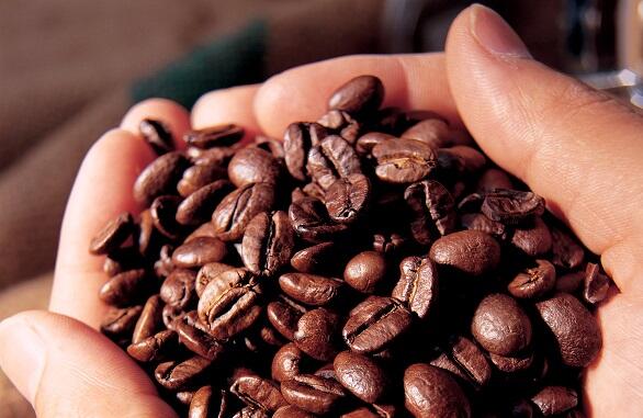 Kopi Origin Indonesia | Arabika-Robusta-Luwak-Green bean-Roasted bean-Ground coffee