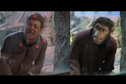 Proses pembuatan Film Rise of the Planet of the Apes