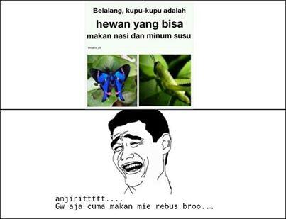 YAOMING FACE lumayan bikin :ngakak 