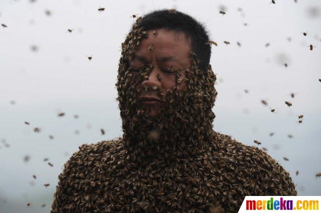 Aksi Nekat Pria China Tutupi Tubuh Dengan 460.000 Ekor Lebah